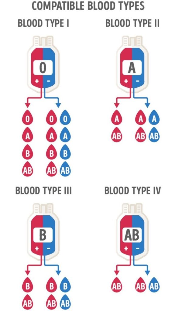 5 Vital Reasons Why You Should Know Your Family Members’ Blood Types