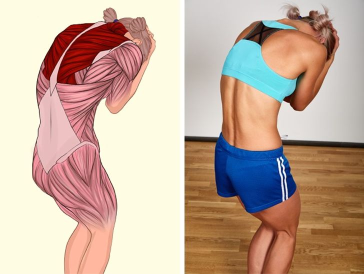 These 8 Pictures Will Show Which Muscles You Stretch