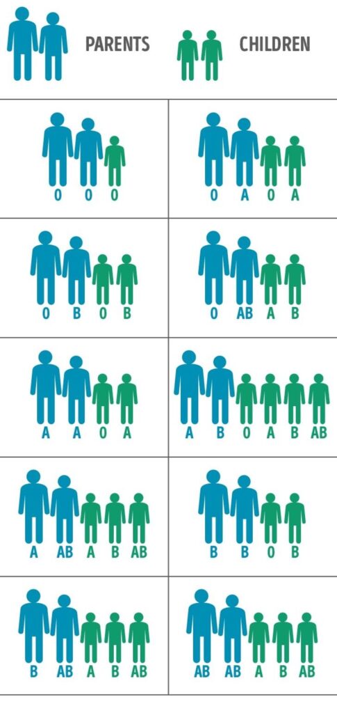5 Vital Reasons Why You Should Know Your Family Members’ Blood Types