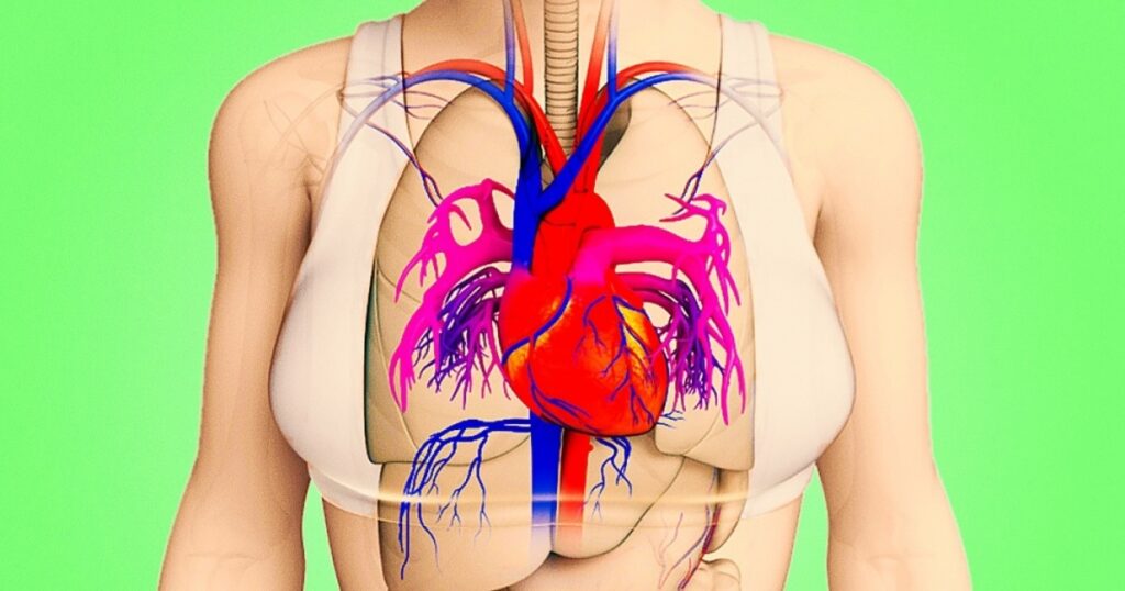 What Signs Will Your Body Give You Before A Heart Attack