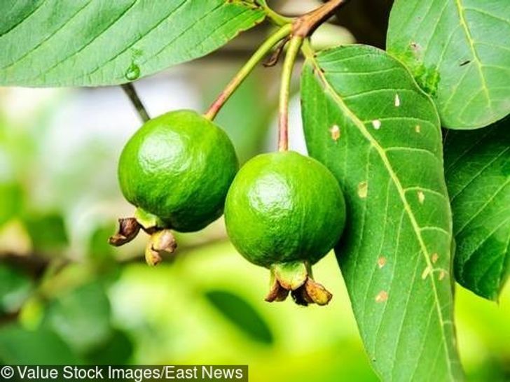6 Home Remedies to Kill a Toothache