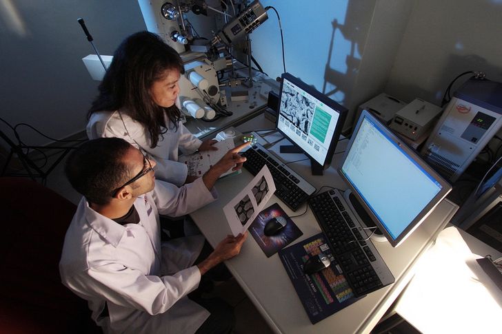 Scientists Have Developed a Technology That Will Help Cure Blindness