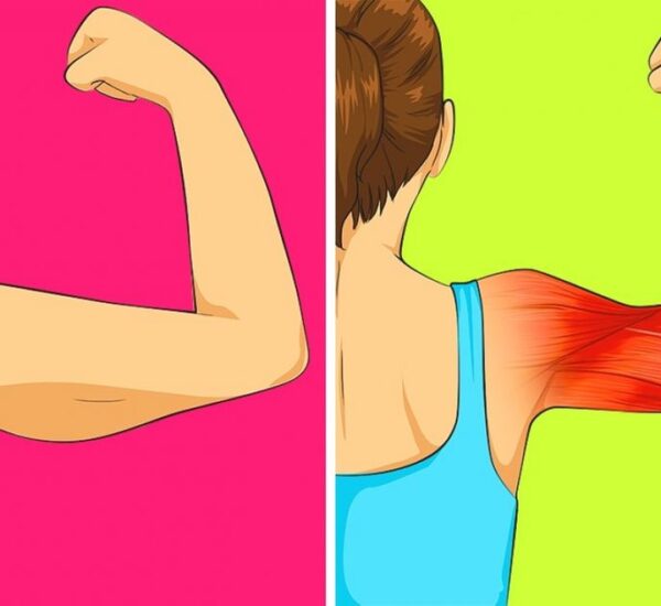 5 Killer Ways to Lose Inches of Flab From All Over Your Body