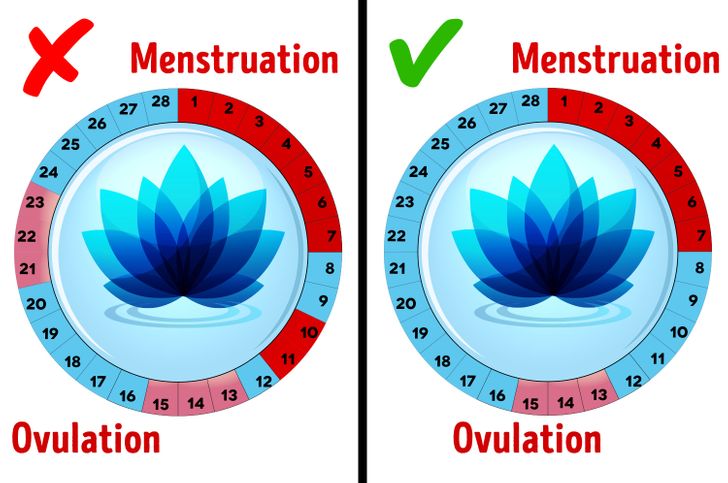 6 Period Questions We’re Too Embarrassed to Ask Our Gynecologist