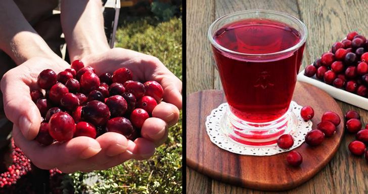 6 Foods and Drinks That Can Get Rid of Water Retention