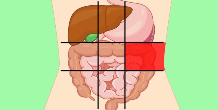 Doctors Share a Belly Map That Reveals What Can Make Your Stomach Hurt