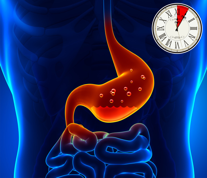 How Long Does It Take For Your Stomach To Digest Different Foods?