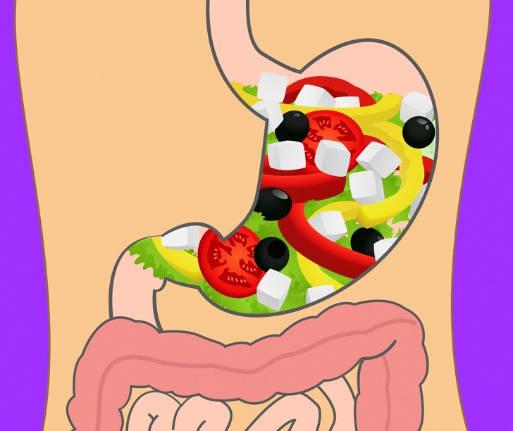 How Long Does It Take For Your Stomach To Digest Different Foods?