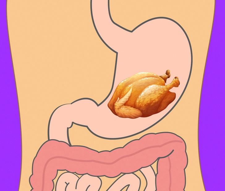 How Long Does It Take For Your Stomach To Digest Different Foods?