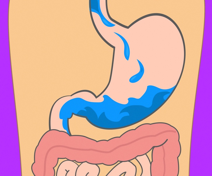 How Long Does It Take For Your Stomach To Digest Different Foods?