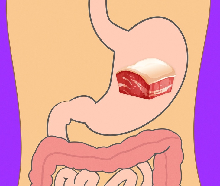 How Long Does It Take For Your Stomach To Digest Different Foods?