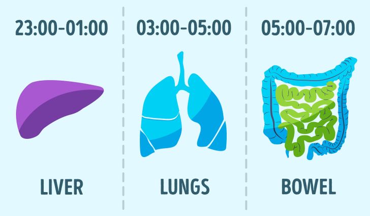 8 Habits That Will Help You Live A Longer Life