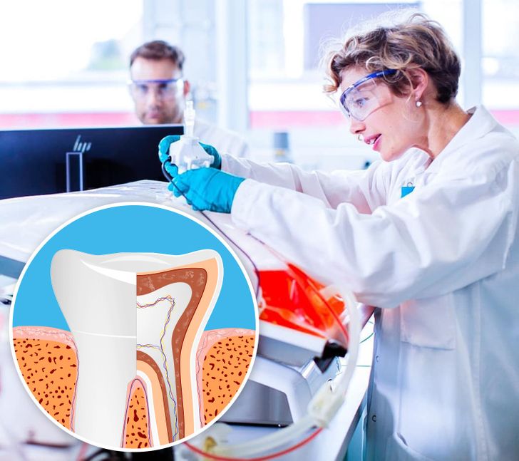 Check Why Doctors Are Urging Parents To Keep Their Kid’s Baby Teeth