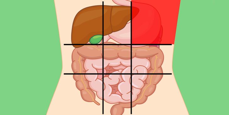 Doctors Share a Belly Map That Reveals What Can Make Your Stomach Hurt