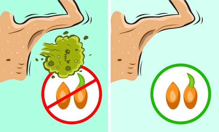6 Products That Can Help Your Body Get Rid of an Unpleasant Odor in No Time