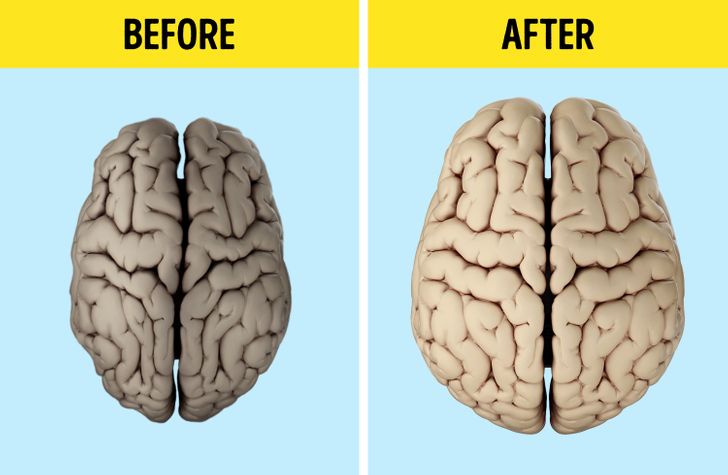 A Group of People Slowed Down Brain Aging in Just 6 Months